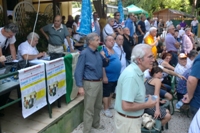 Clicca sulla foto per vedere ingrandimento